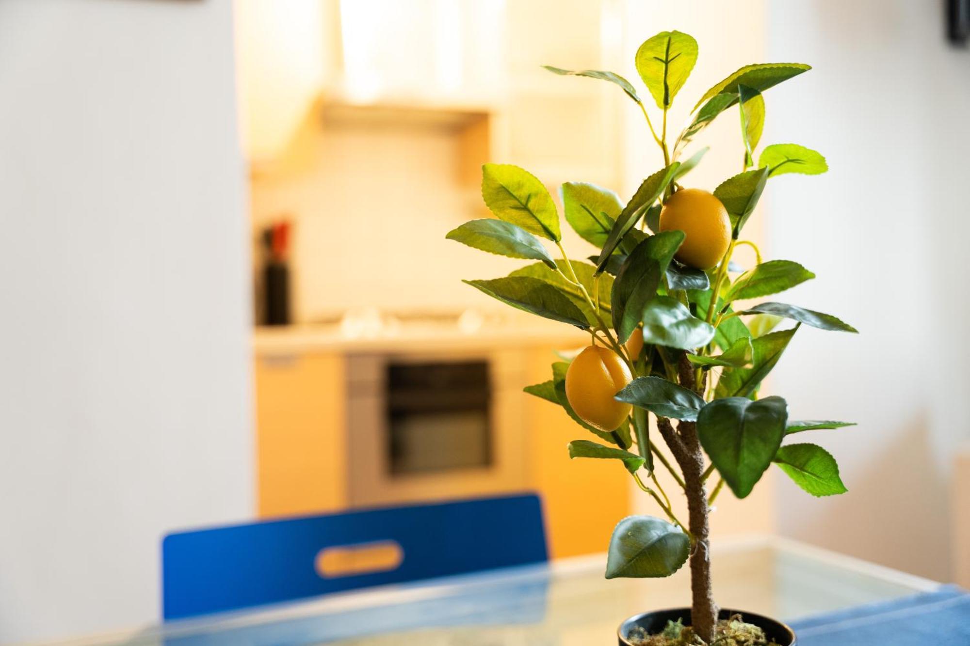 Nice Quiet Flat In Pta Venezia Милано Екстериор снимка